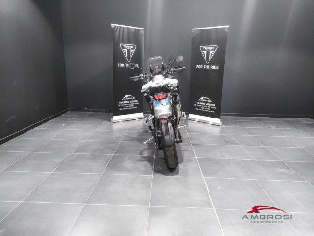 TRIUMPH Other Tiger GT PRO