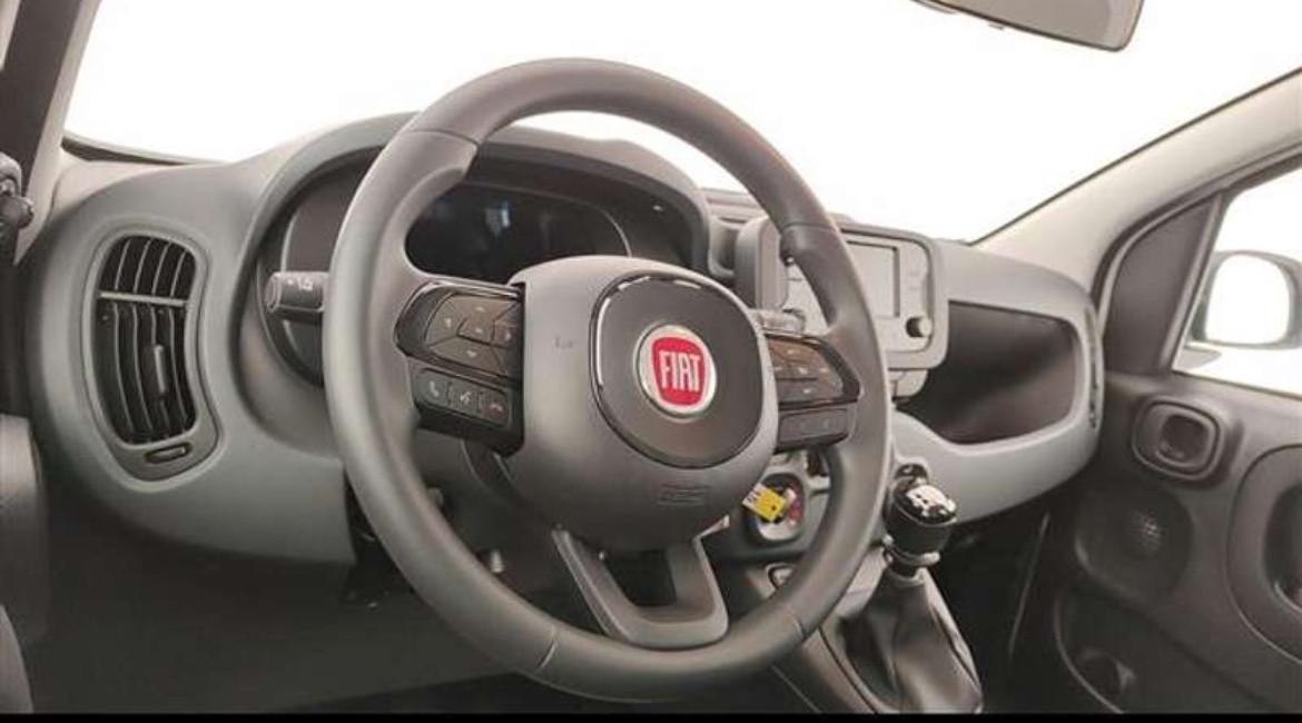 Fiat Panda 1.0 Fire Hybrid NOLEGGIO