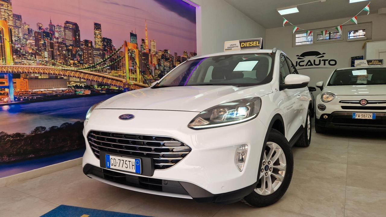 Ford Kuga 1.5 EcoBlue 120 CV aut. 2WD Titanium Business