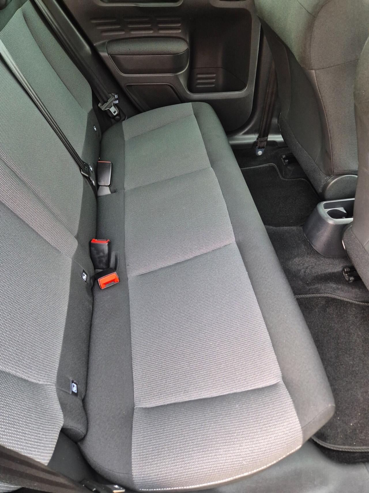 Citroen C4 Cactus BlueHDi 100 Shine