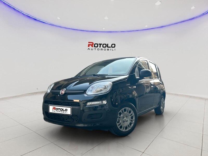 FIAT Panda 3ª serie Panda 1.0 FireFly S&S Hybr...
