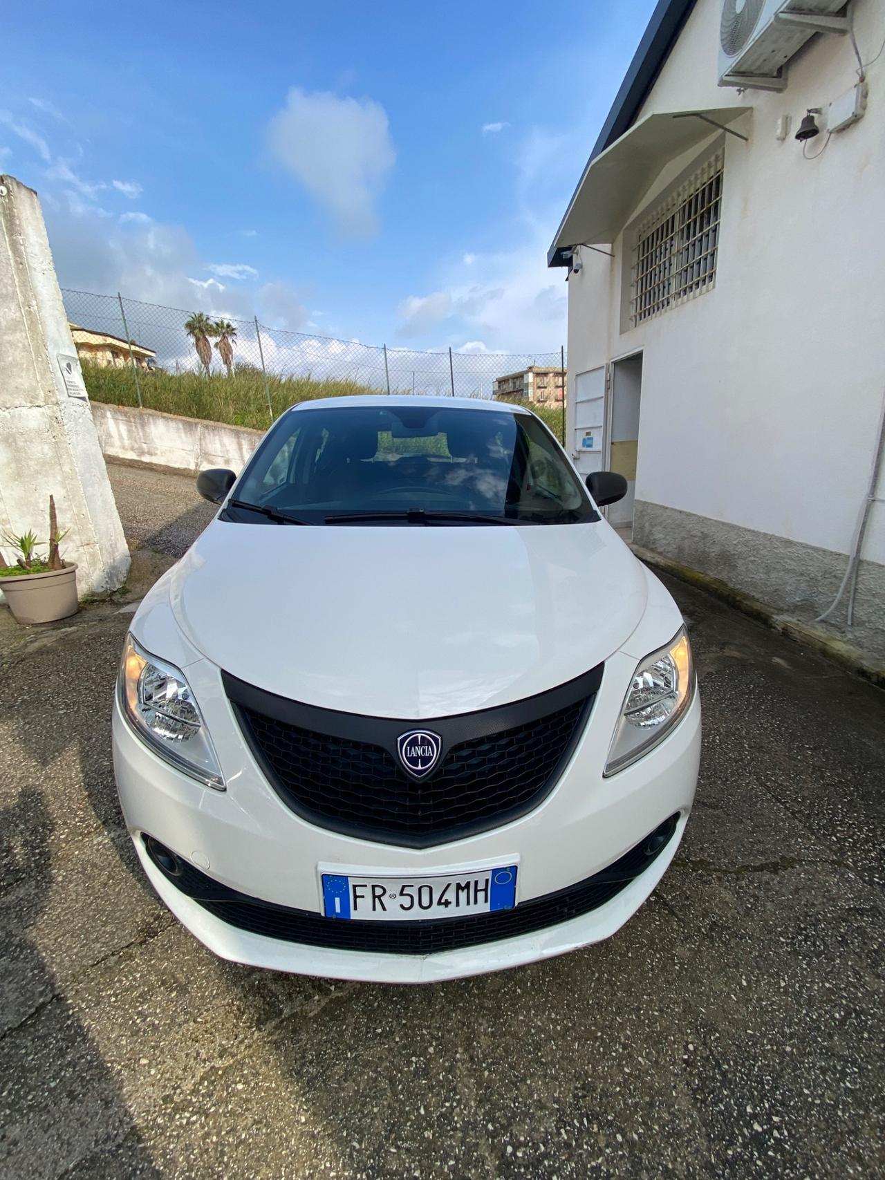 Lancia Ypsilon 1.2 69 CV 5 porte Elefantino