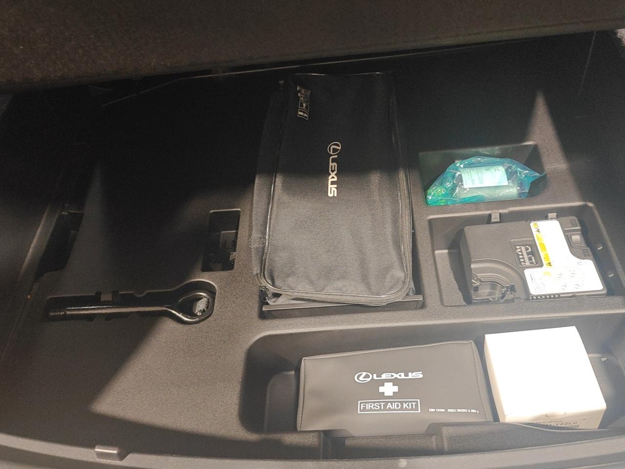 Lexus UX Hybrid Urban 2wd