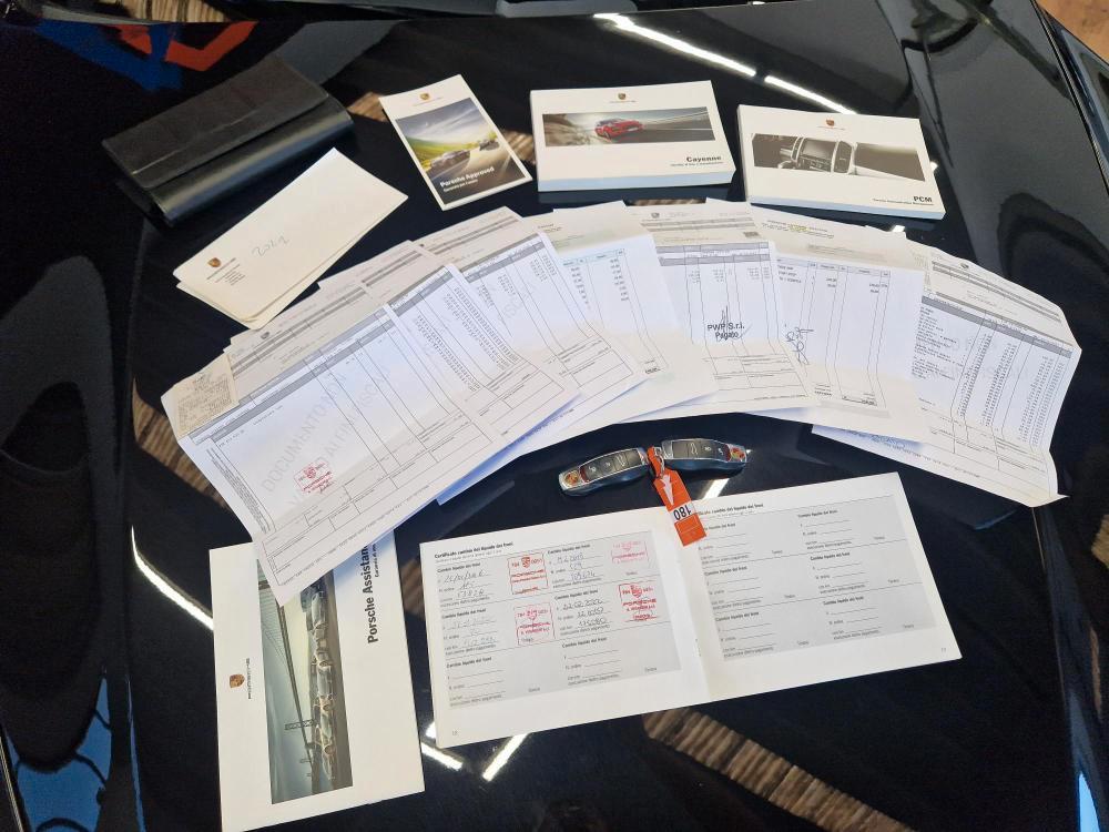 Porsche Cayenne 3.0 V6 tdi Platinum Edition 245cv tiptronic