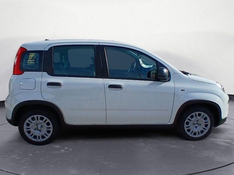 FIAT Panda NEW 1.0 70cv Hybrid Panda