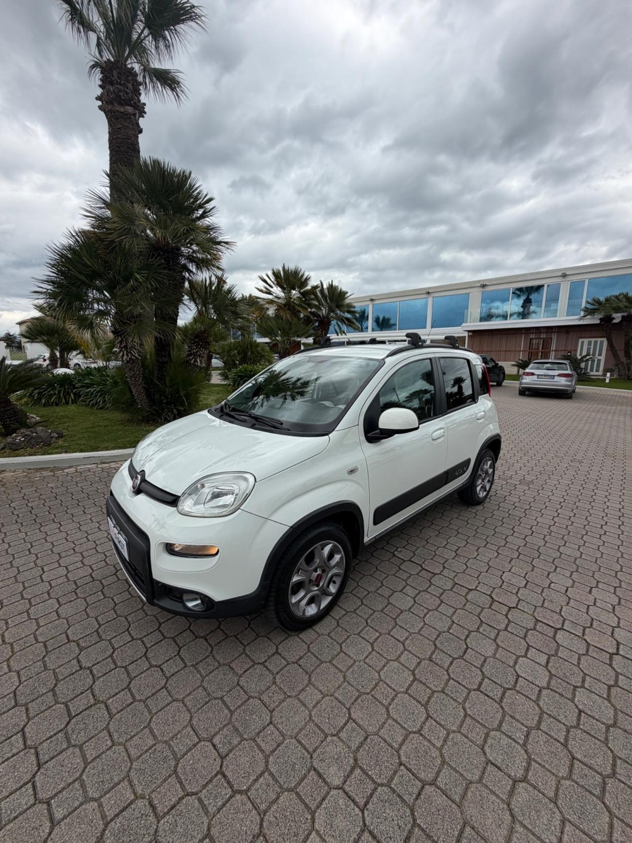 Fiat Panda 1.3 MJT S&S 4x4 Antartica