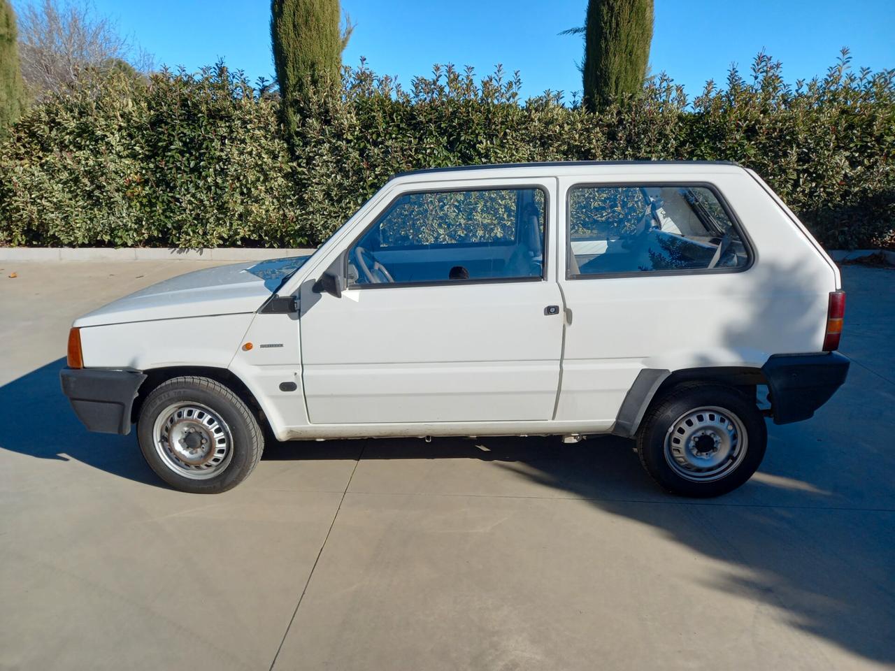 Fiat Panda 900 i.e. cat Young