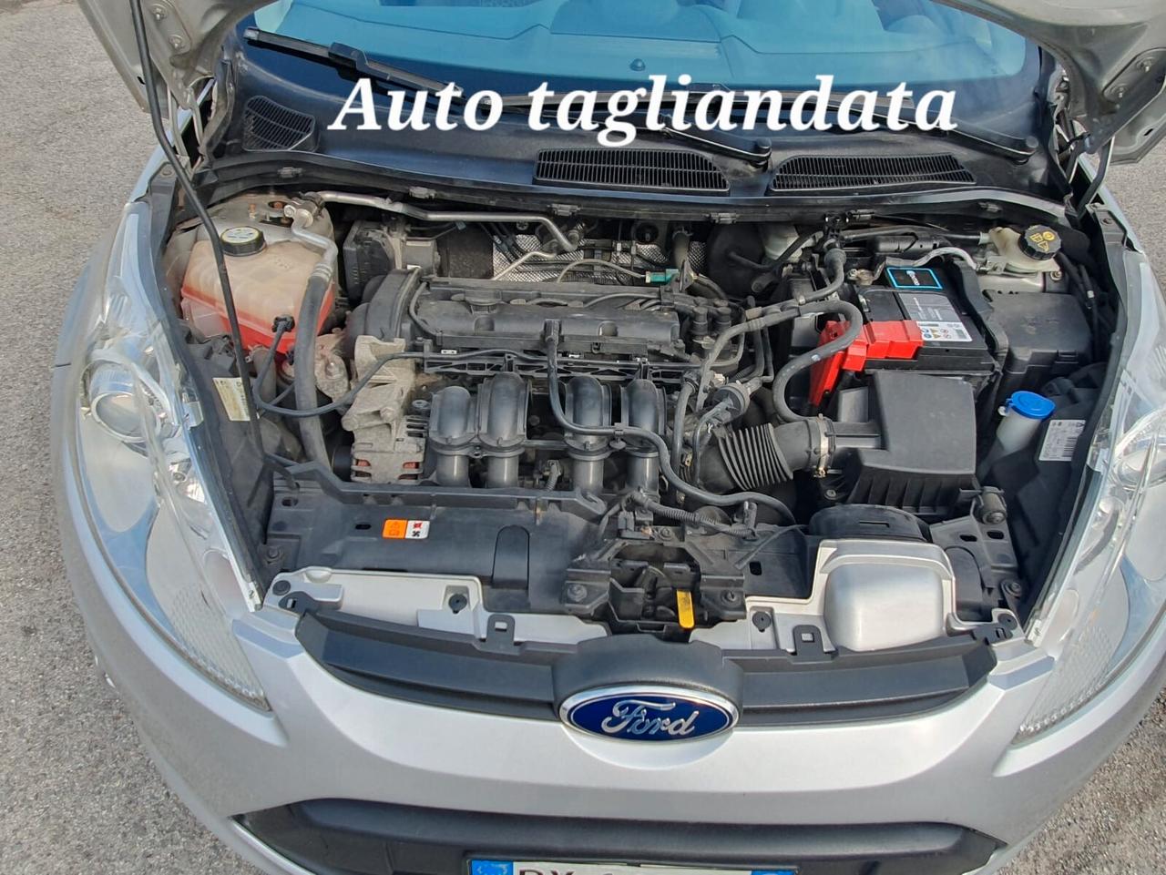 Ford Fiesta Fiesta+ 1.4 96CV aut. 5 porte