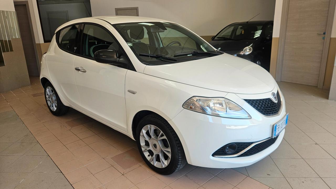 Lancia Ypsilon 1.3 MJT 16V 95 CV 5 porte S&S Platinum