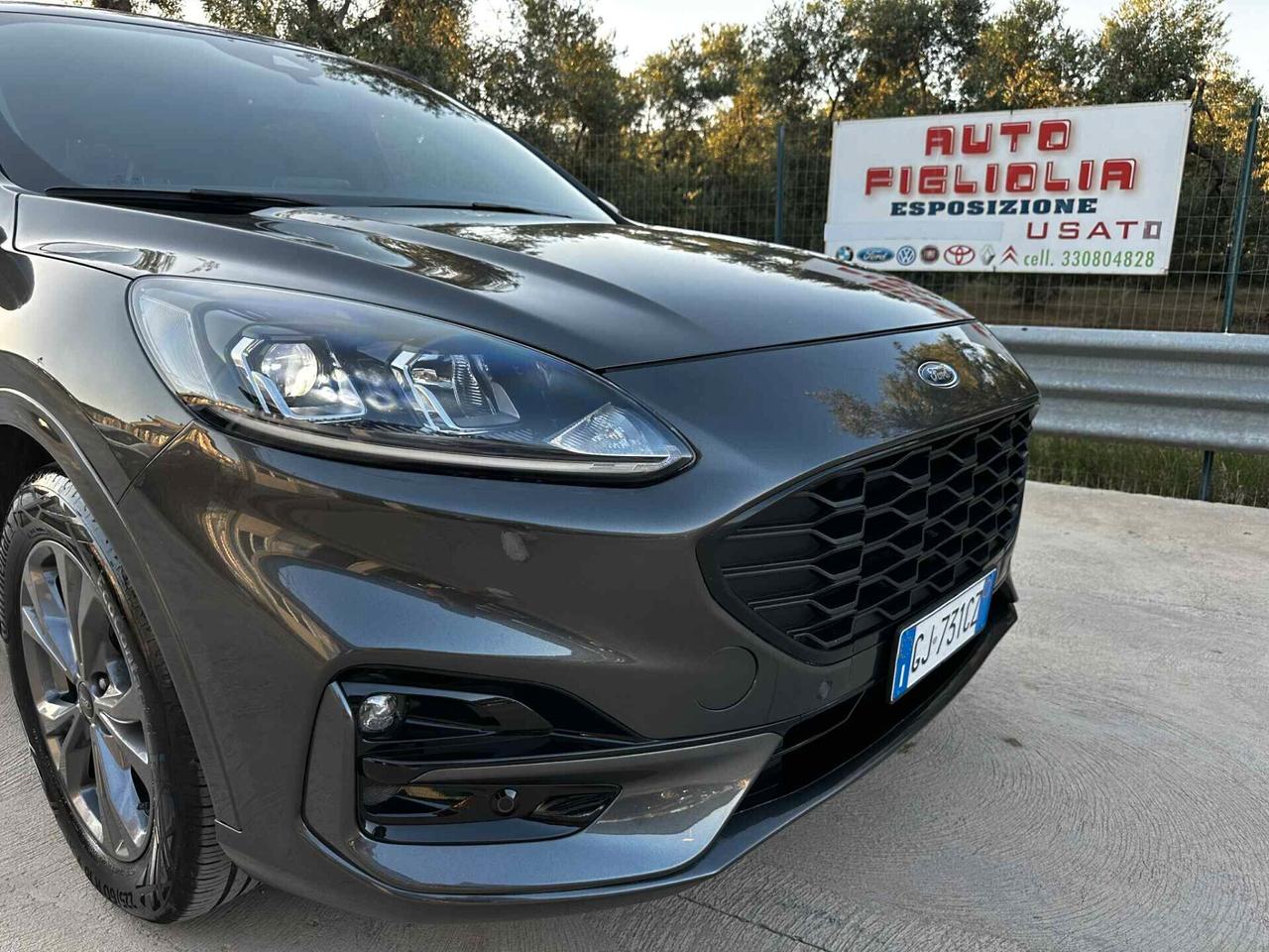Ford Kuga 2.0 EcoBlue Hybrid 150 CV 2WD ST-Line