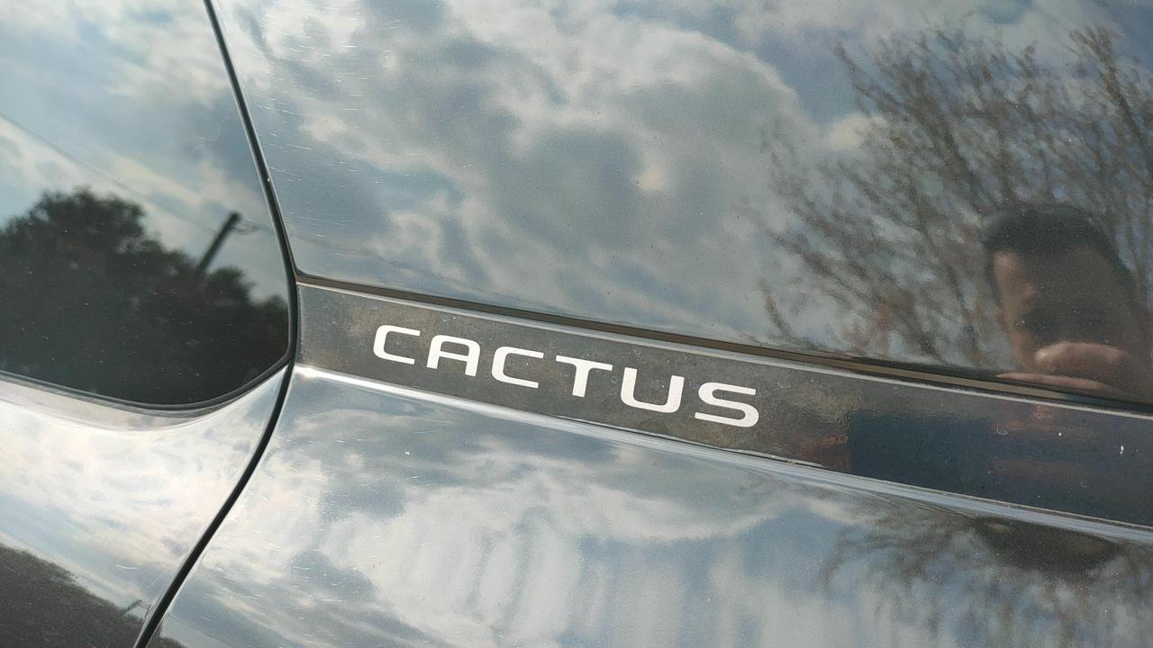 Citroen C4 Cactus 1.6 bluehdi Shine s&s 100cv