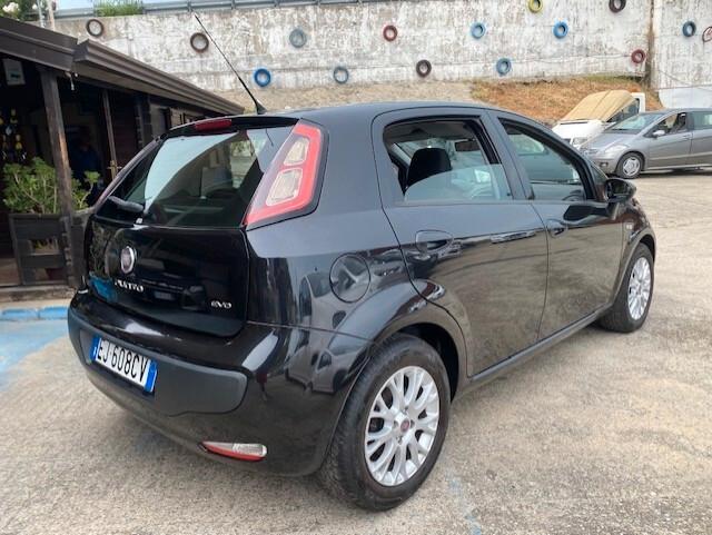 Fiat Punto Evo Punto Evo 1.3 Mjt 95 CV DPF 5 porte S&S Emotion