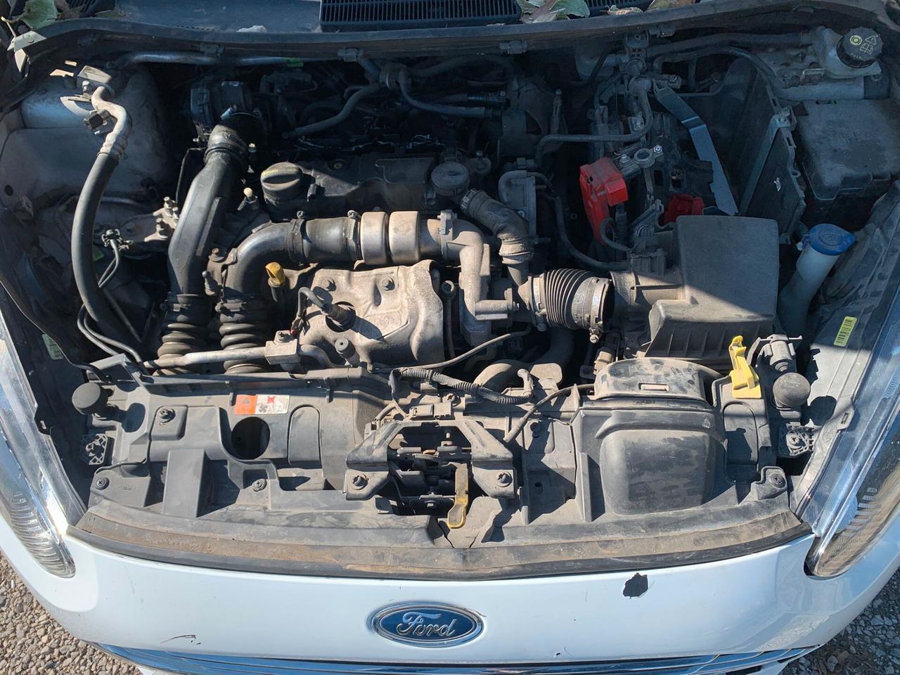 Ford Fiesta 1.5 Tdci 75cv 5P Motore rotto