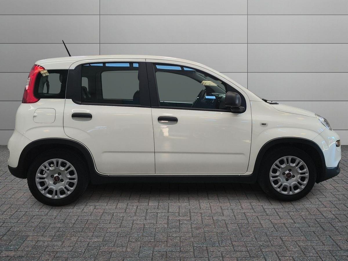 FIAT Panda III 2021 - Panda 1.0 firefly hybrid s&s 70cv 5p.ti