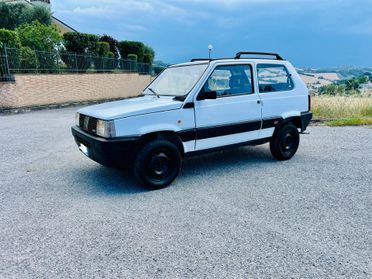 Fiat Panda 4x4 benzina e metano