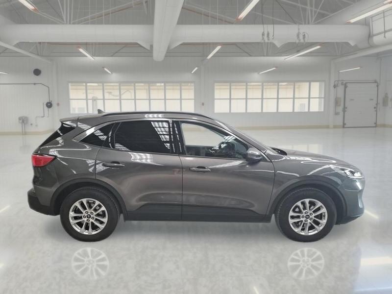 FORD KUGA 1.5 ECOBLUE 120 CV 2WD TITANIUM BUSINESS AUTO SUV