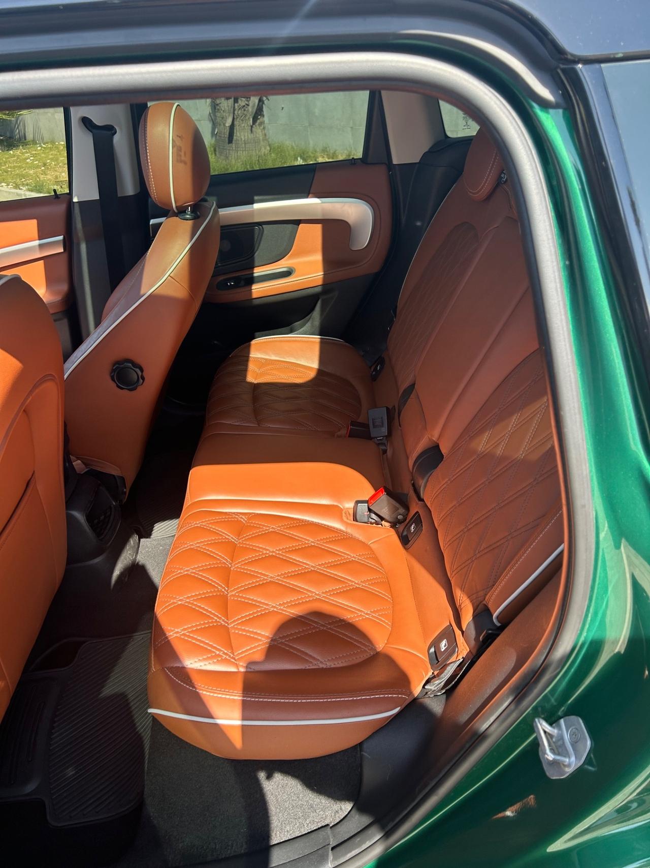 Mini Cooper SE Countryman Countymen Plug-it
