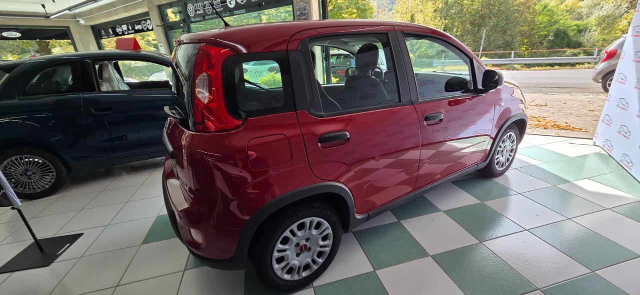 Fiat Panda Cross 1.0 FireFly S&S Hybrid