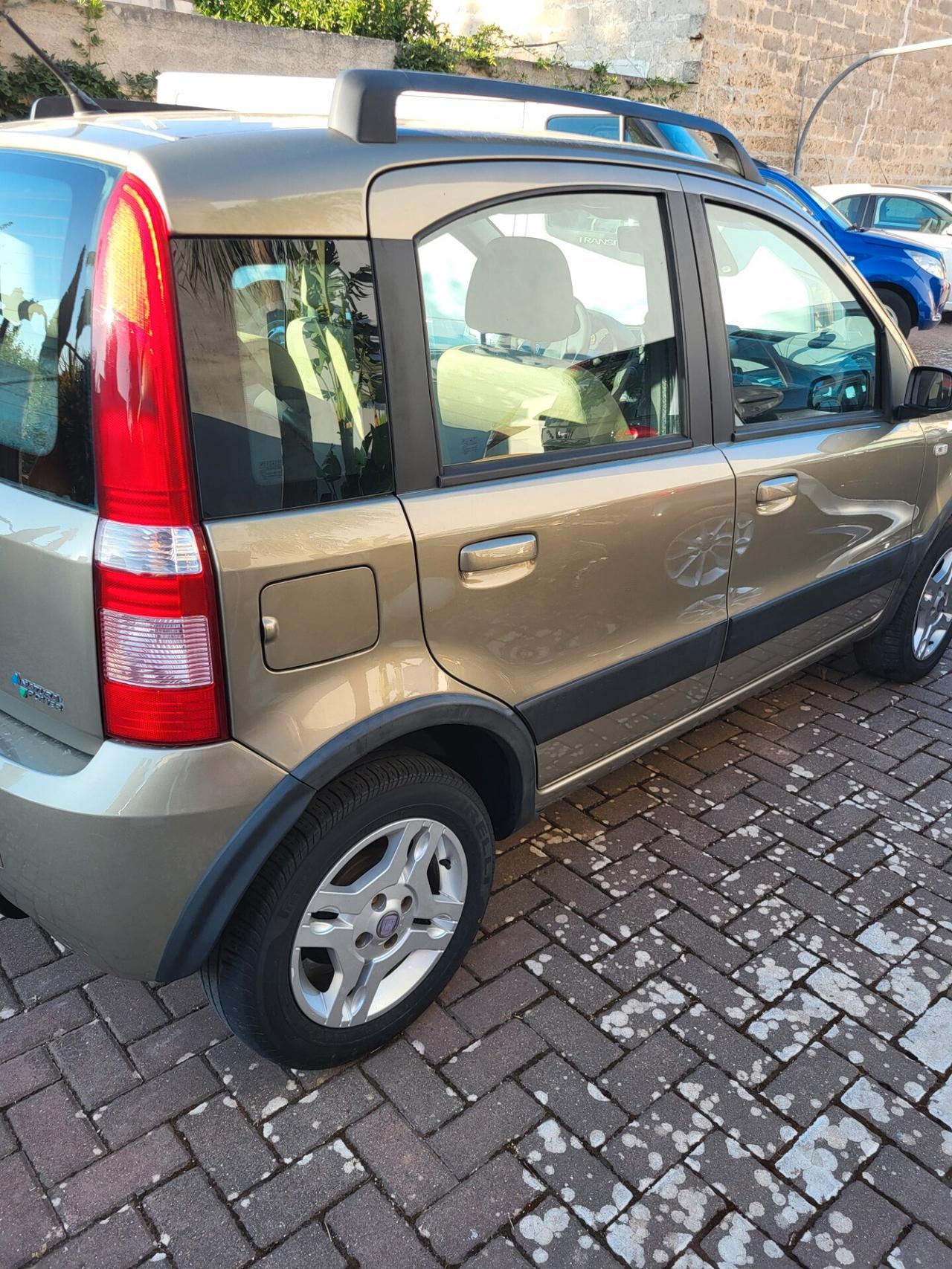 Fiat Panda 1.2 Climbing Natural Power