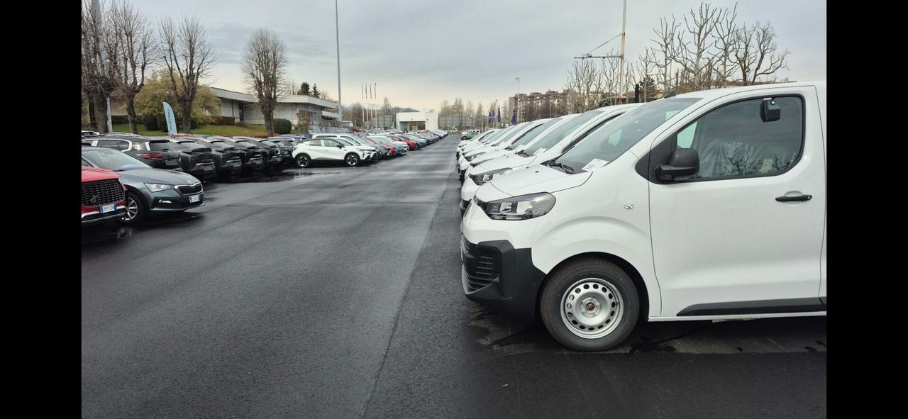 Fiat Doblo Doblò 1.5 BlueHdi 130CV PC-TN Van