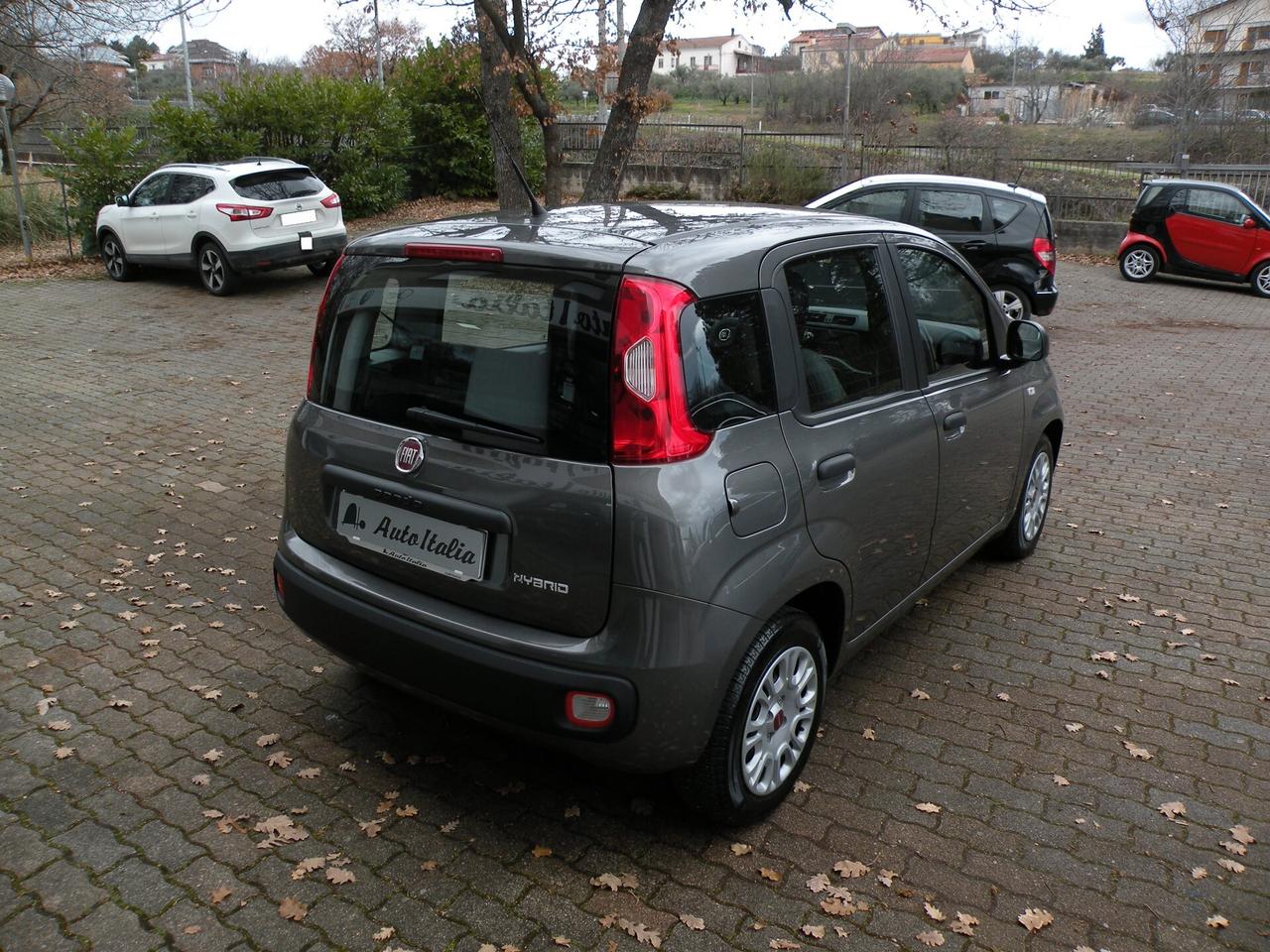 FIAT PANDA 1.0 FireFly 70CV S&S HYBRID 2022