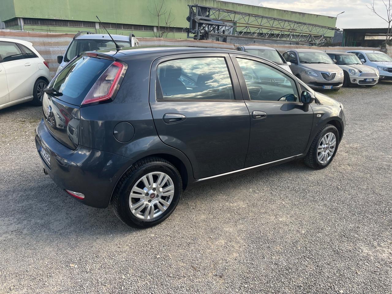 Fiat Punto 1.2 benzina 8V 5 porte Lounge 2015