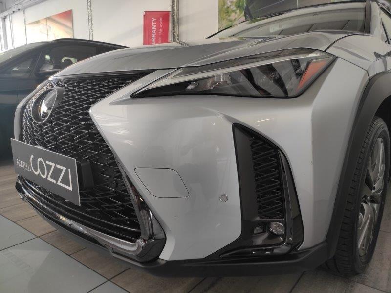 LEXUS UX - UX Hybrid Design