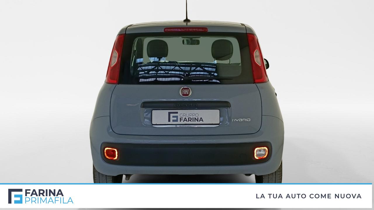 FIAT Panda III 2021 - Panda 1.0 firefly hybrid s&s 70cv