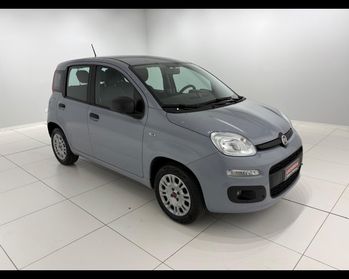 FIAT Panda 1.2 Easy s&s 69cv