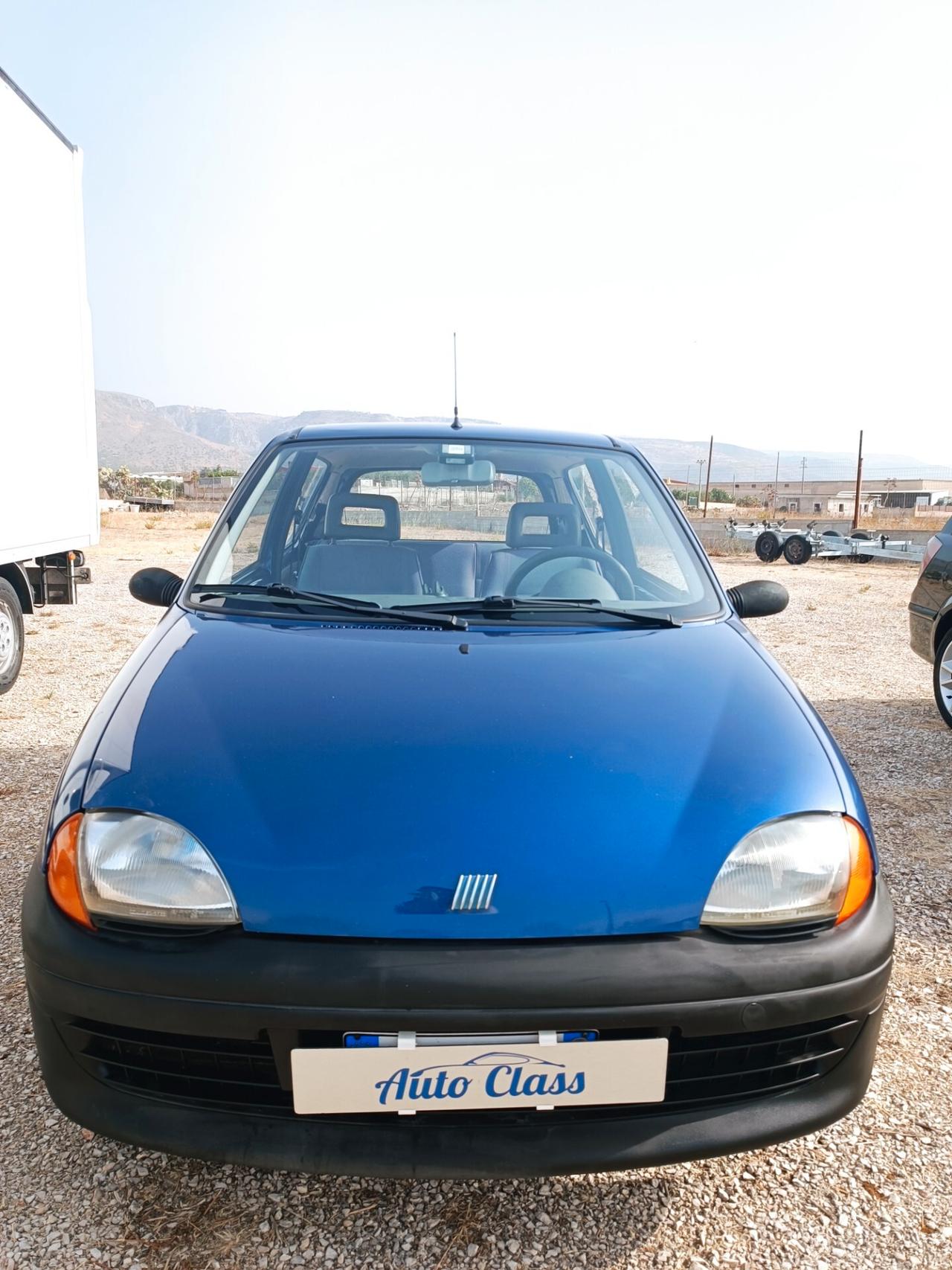 Fiat Seicento 900i cat Young