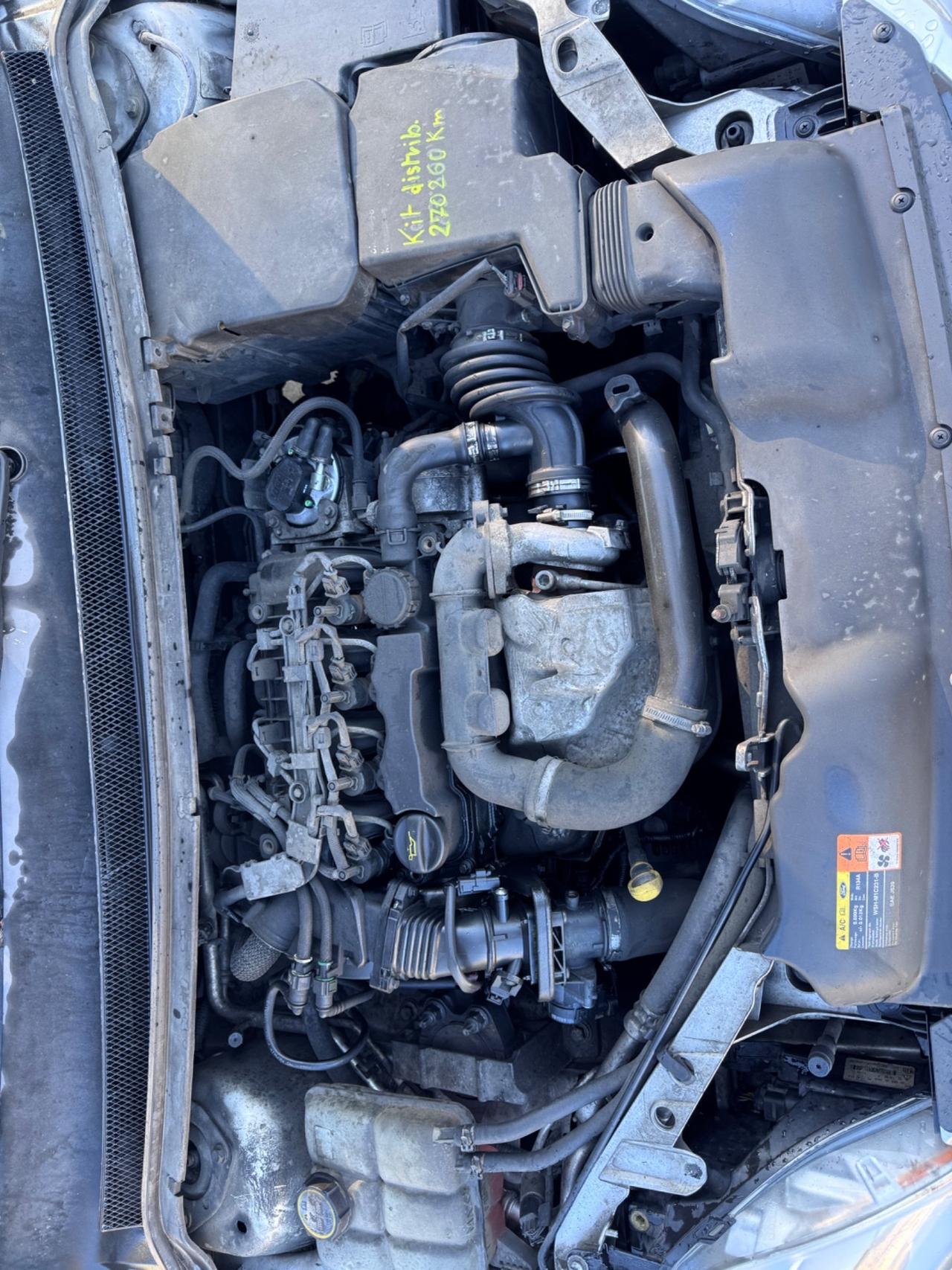 Ford Focus 5p 1.6 tdci 90cv distribuzione fatta