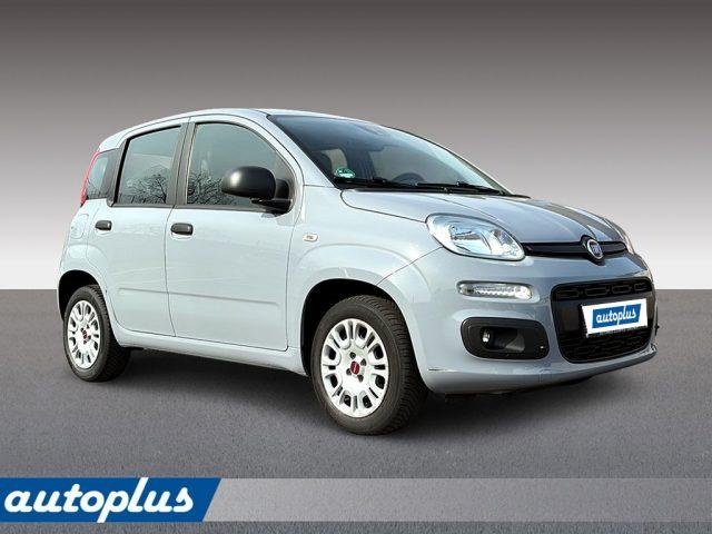 FIAT Panda 1,2 8V Easy