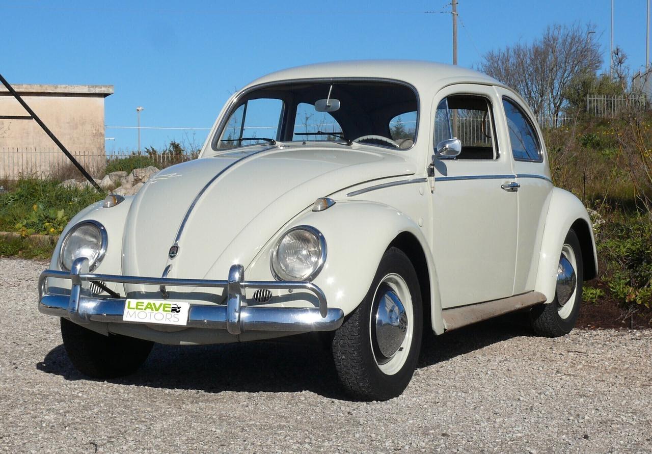 Volkswagen Maggiolino VETRO PIATTO (M1260)