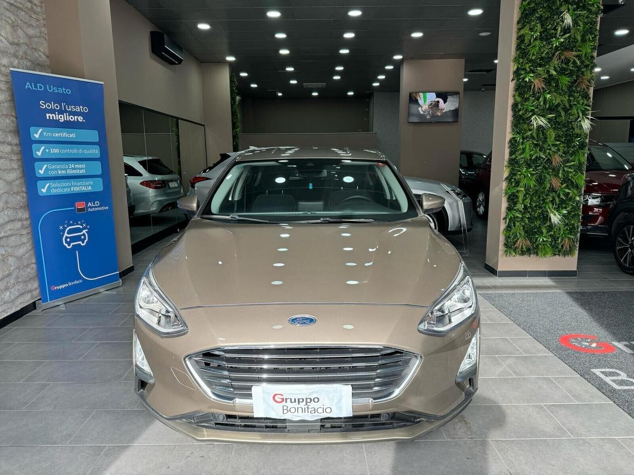 Ford Focus 1.5 EcoBlue 120 CV 5p. Business Cambio Automatico