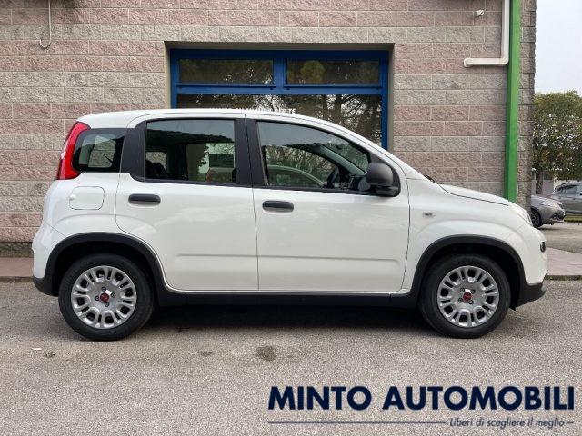 FIAT Panda 1.0 70CV HYBRID 5 POSTI SENSORI PARCH. BLUETOOTH