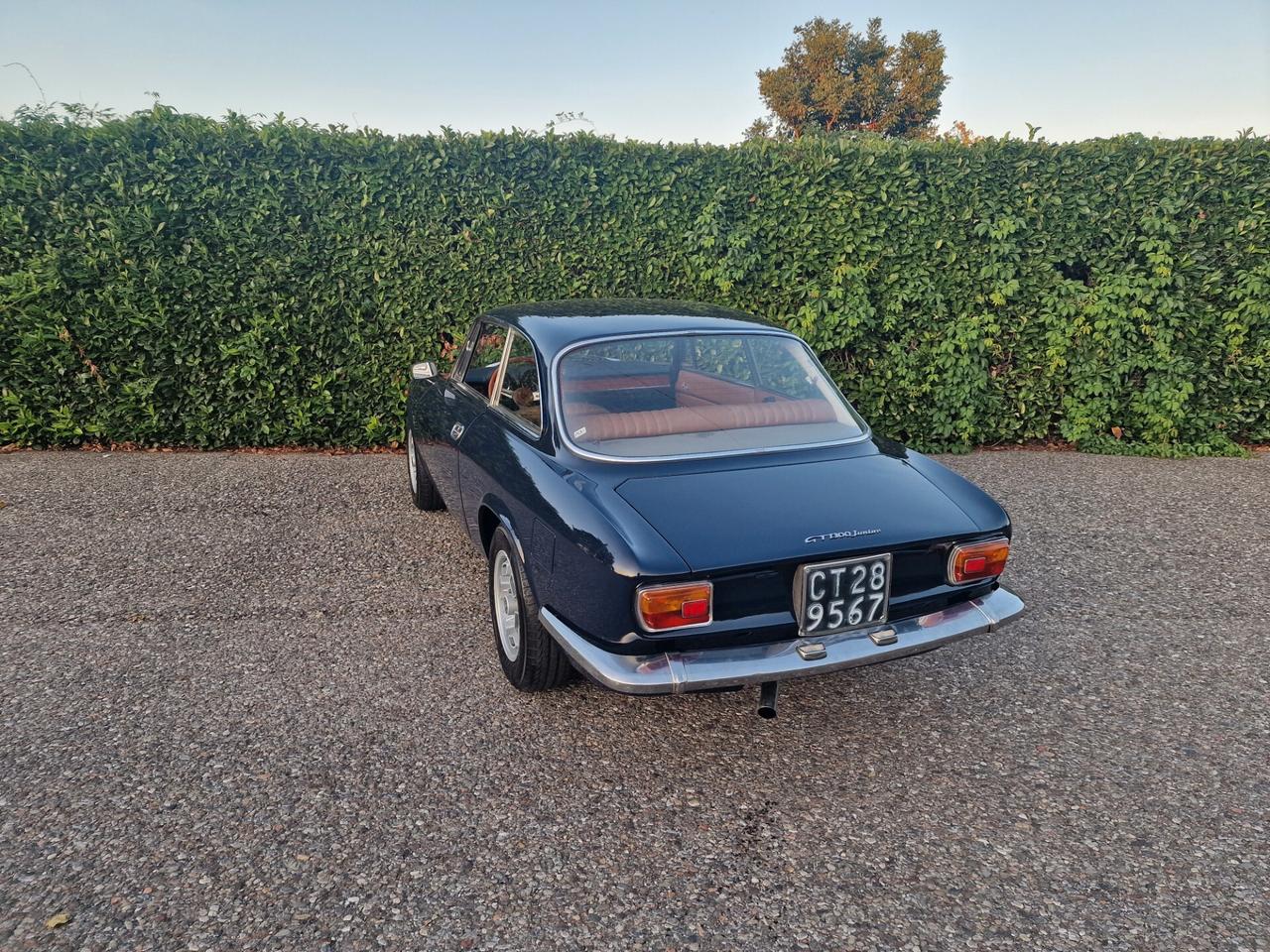 Alfa Romeo Gt Junior 1300