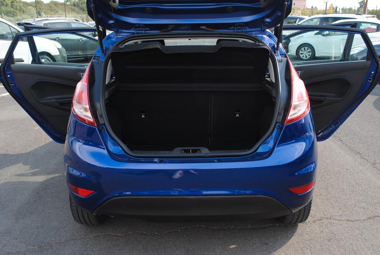 Ford Fiesta 1.4 5 porte Bz.- GPL Black & White Edition
