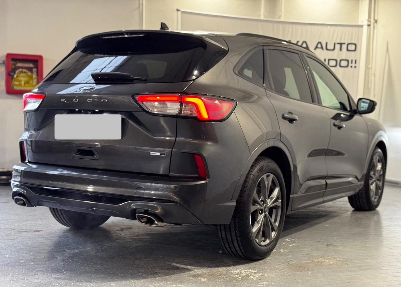 Ford Kuga 2.0 EcoBlue Hybrid 150 CV 2WD ST-Line