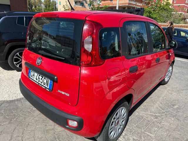 FIAT Panda 1.0 FireFly S&S Hybrid Eas 5 posti no obbligo fina