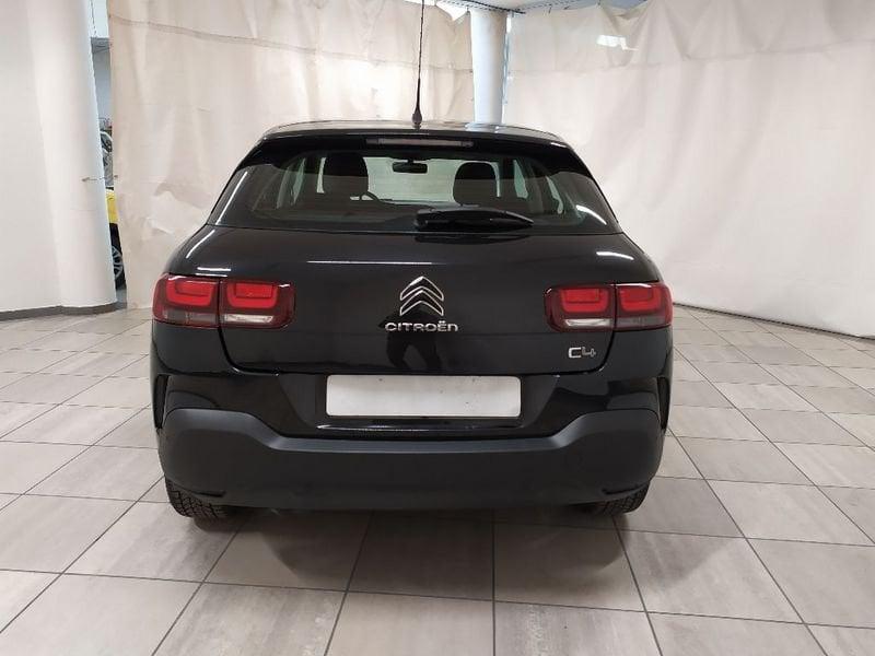 Citroën C4 Cactus 1.6 bluehdi Shine s&s 100cv
