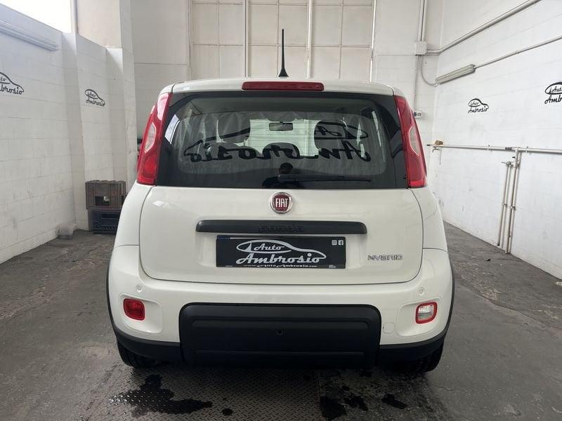 FIAT Panda Panda 1.0 firefly hybrid s&s 70cv