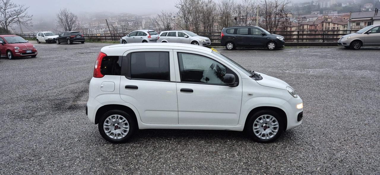 Fiat PANDA VAN 1.3 MJT 80CV - 10/2016 - Euro6