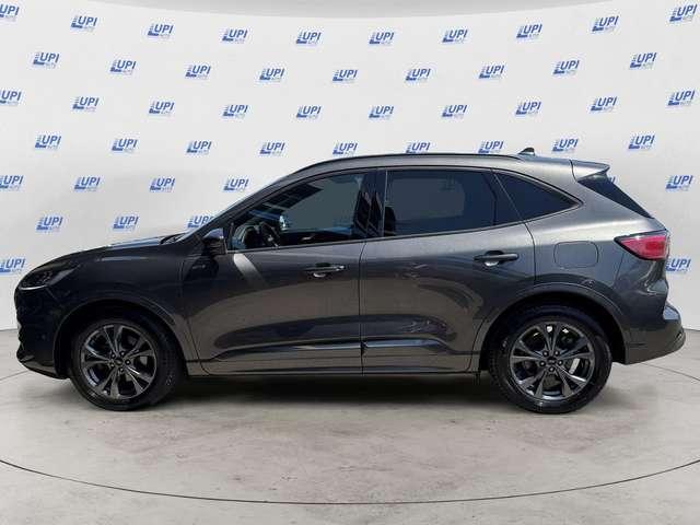 Ford Kuga 2.0 ecoblue ST-Line 2wd 120cv auto