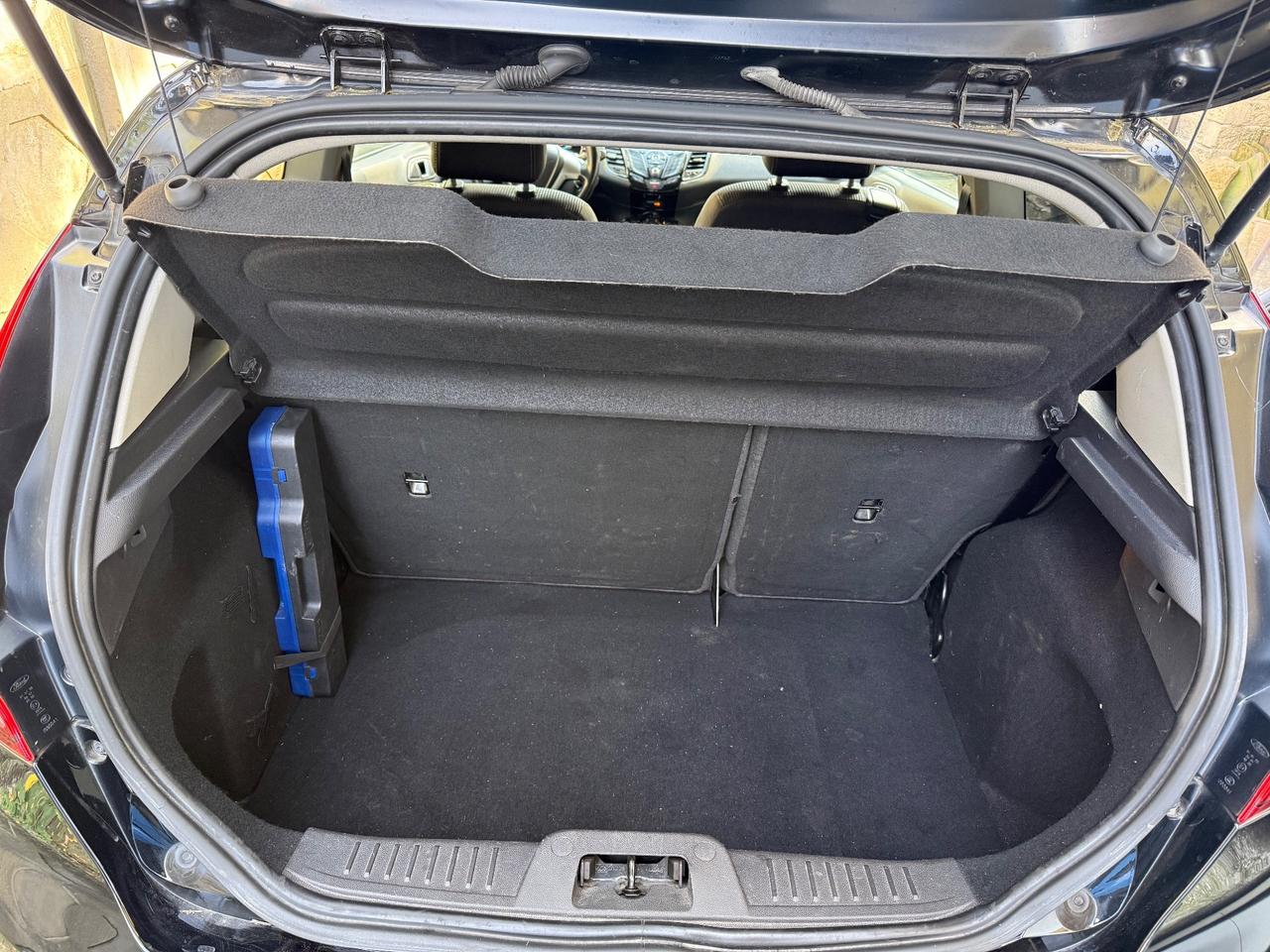 Ford Fiesta 1.5 TDCi 75CV 3 porte Business