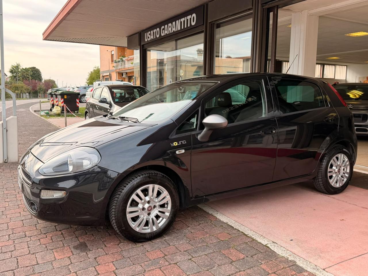 Fiat Punto 1.2 8V 5 porte Young