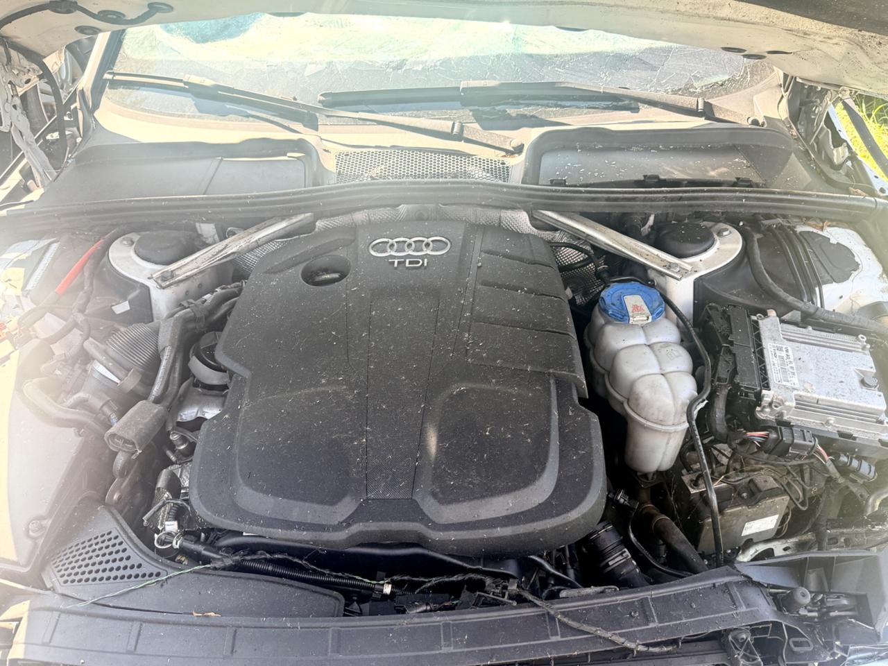 Audi A4 2.0 TDI 150 CV ultra S tronic Business Sport