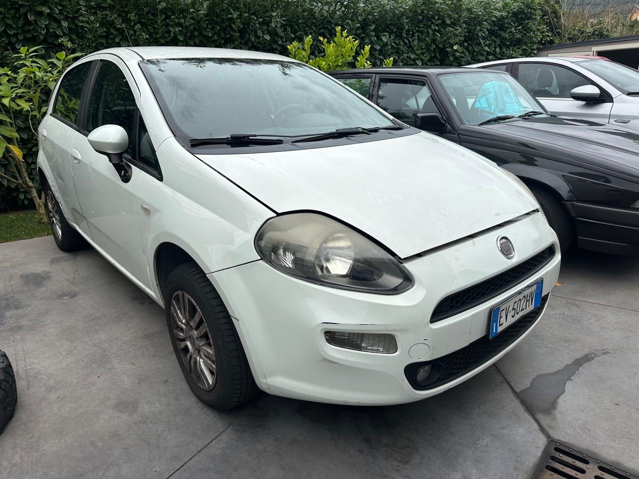 Fiat Punto 1.4 8V 5 porte Natural Power Lounge