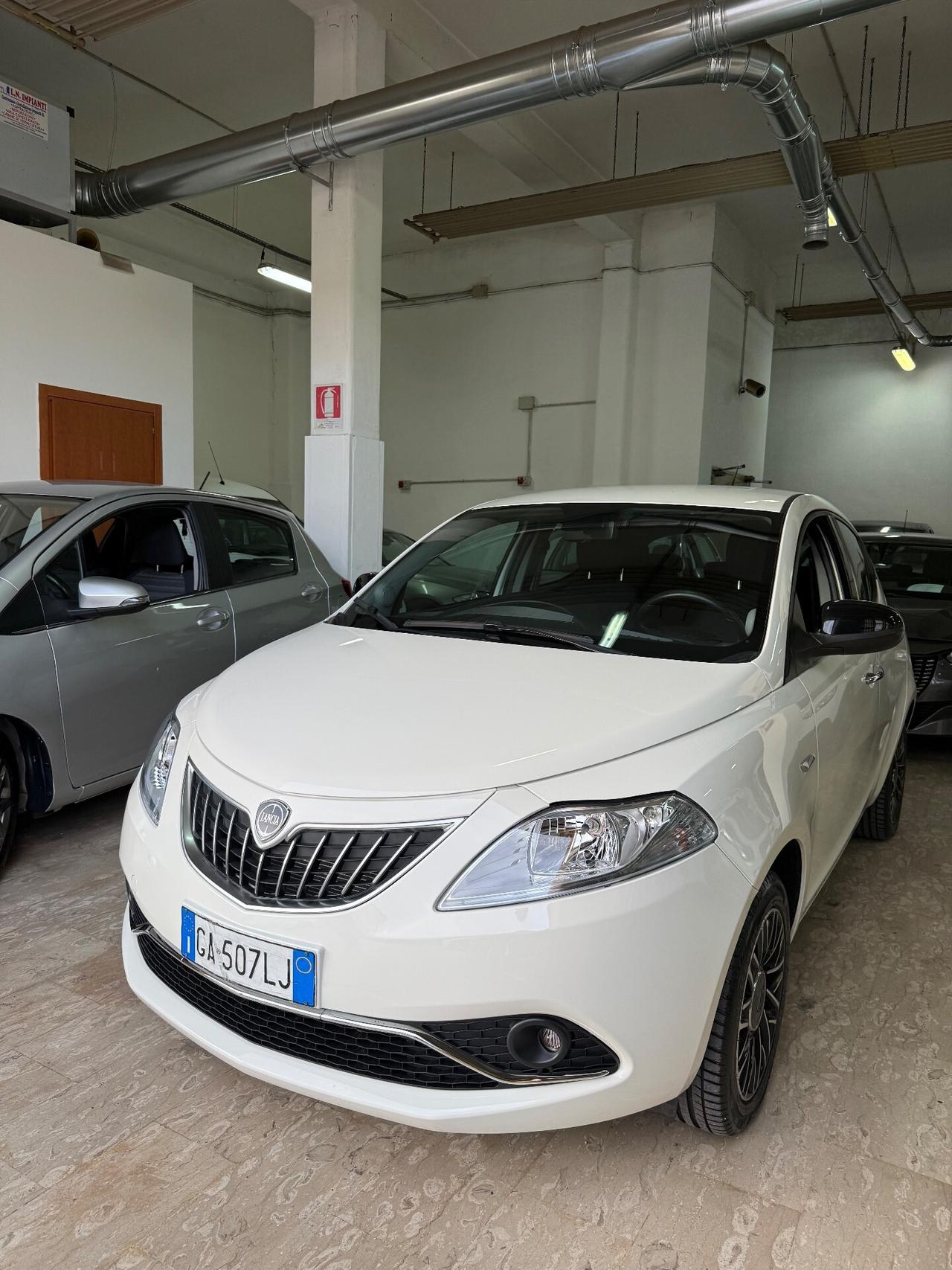 Lancia Ypsilon 1.2 69 CV 5 porte S&S Platinum