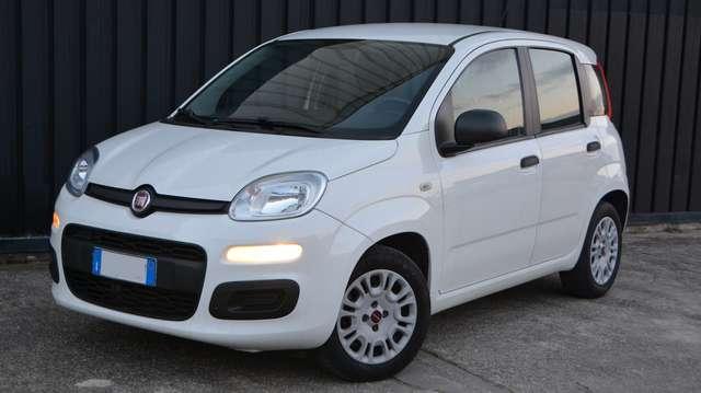 Fiat Panda 1.2 Easy easypower GPL 69cv