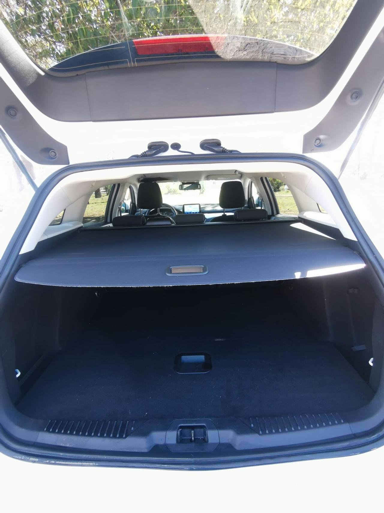 Ford Focus 1.5 EcoBlue 120 CV SW Business 2019